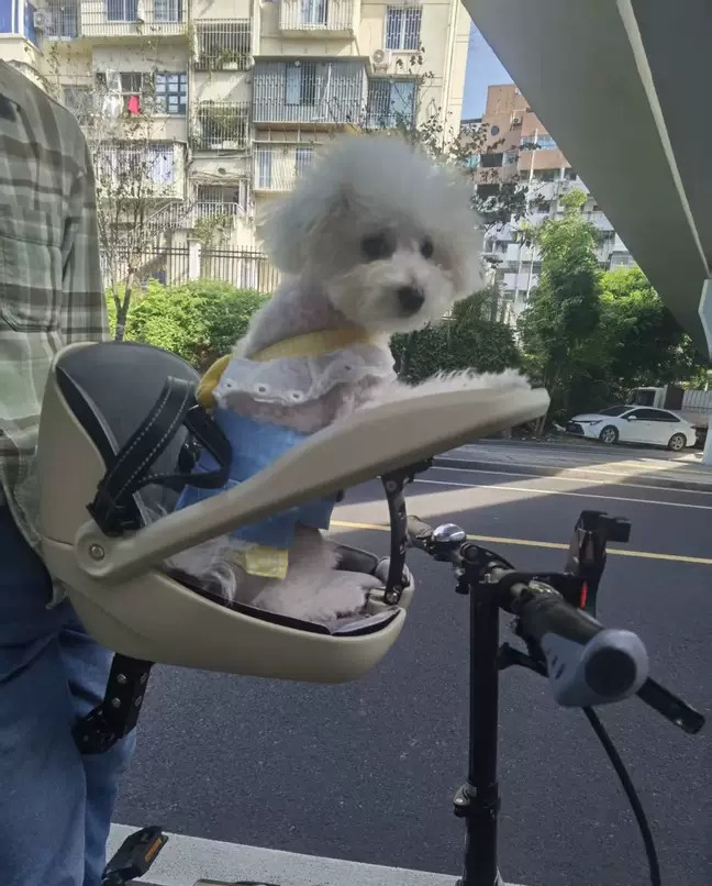 Mountain Biking With Dog - Adatto per biciclette pieghevoli, mountain bike,