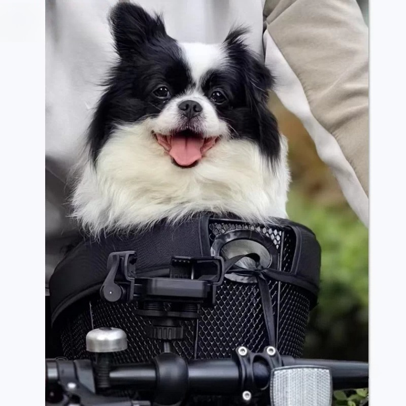 Cestino Pieghevole per Cani da - Mountain Biking With Dog recensione e prezzo