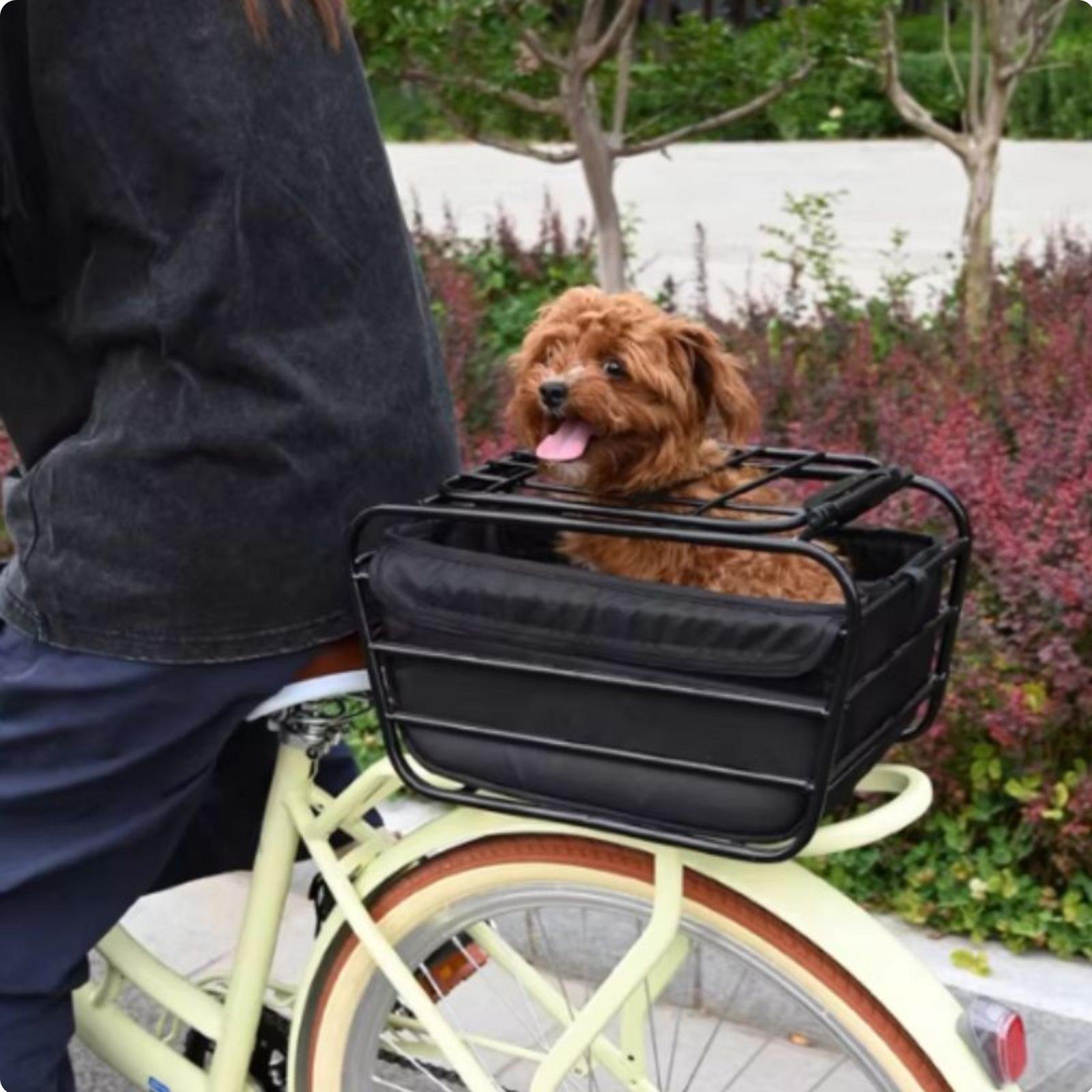 Cestino per bicicletta con cin - Mountain Biking With Dog recensione e prezzo