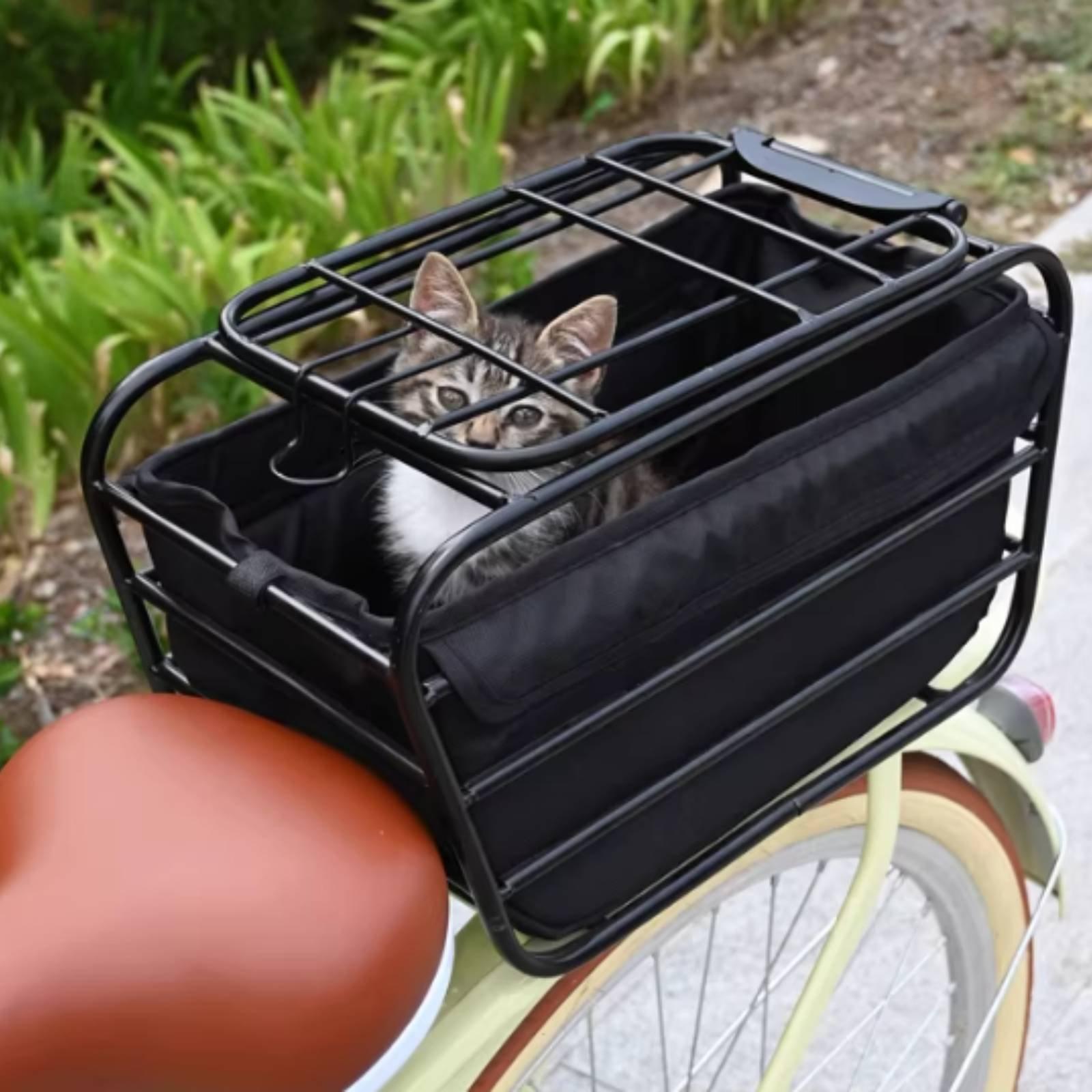 Cestino per bicicletta con cin - Mountain Biking With Dog recensione e prezzo