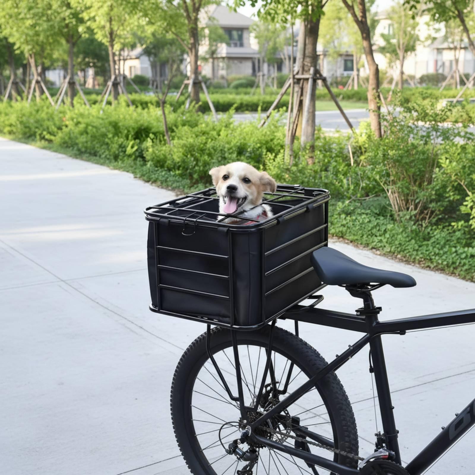 Cestino per bicicletta con cin - Mountain Biking With Dog recensione e prezzo
