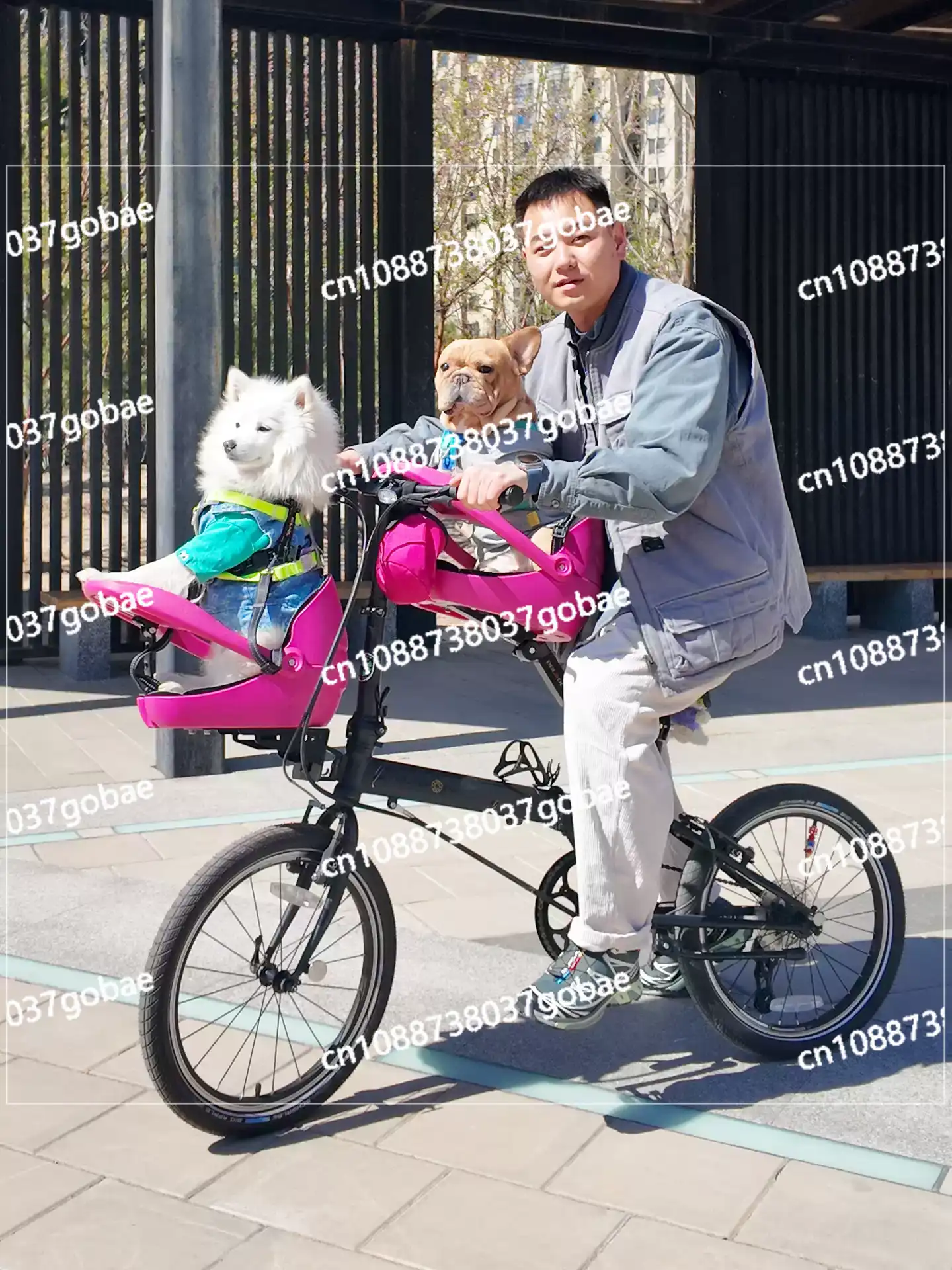 Adatto per biciclette pieghevo - Mountain Biking With Dog recensione e prezzo