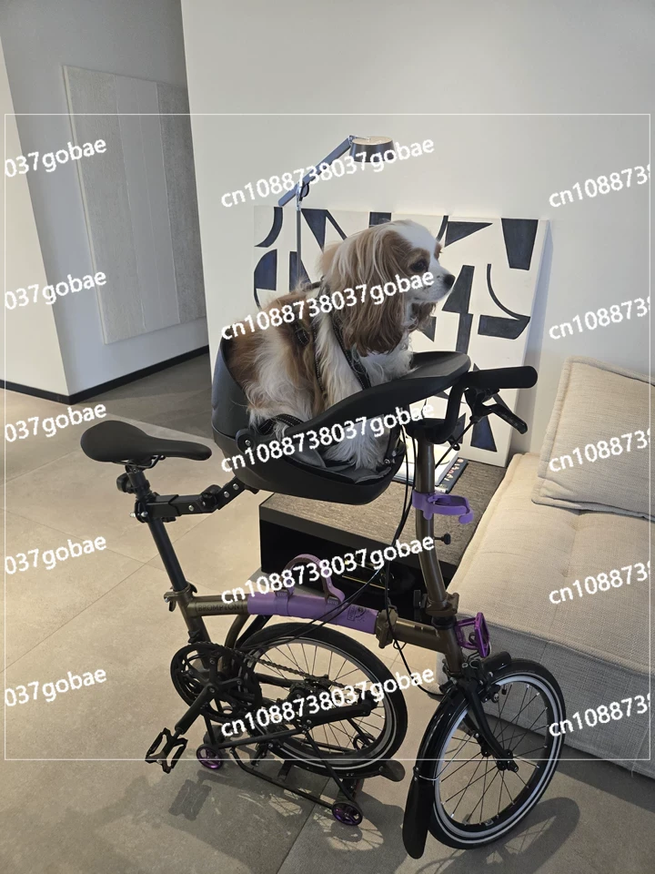Adatto per biciclette pieghevo - Mountain Biking With Dog recensione e prezzo