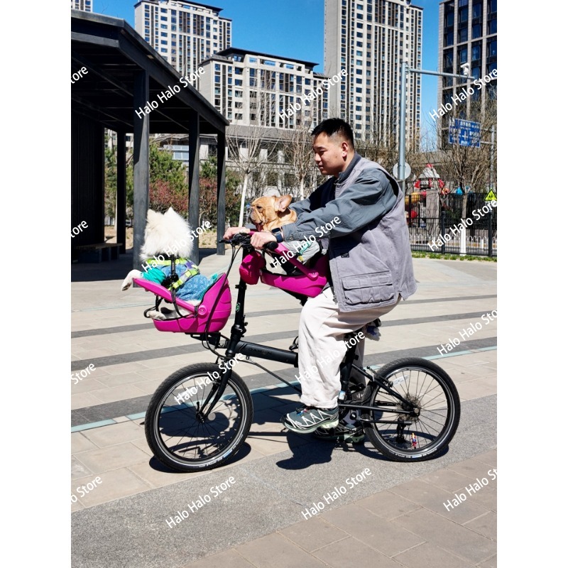 Adatto per bicicletta pieghevo - Mountain Biking With Dog recensione e prezzo